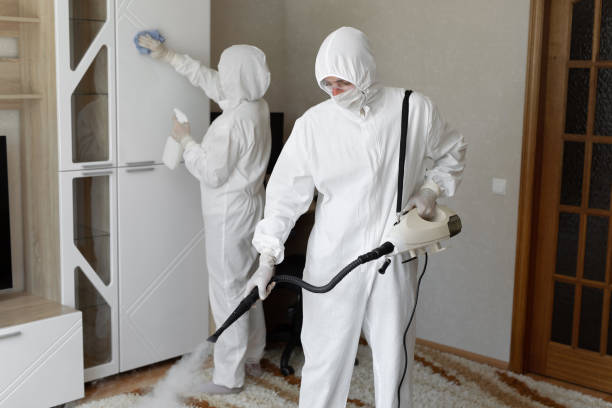 24/7 Emergency Odor Removal experts in Rochester, PA